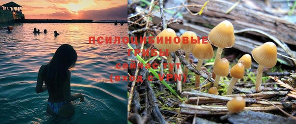 мяу мяу мука Нязепетровск